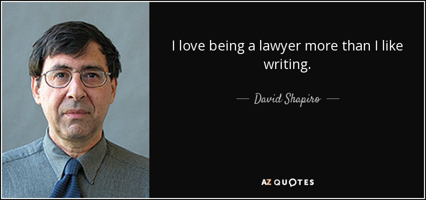 I love being a lawyer more than I like writing. - David Shapiro