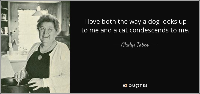 I love both the way a dog looks up to me and a cat condescends to me. - Gladys Taber