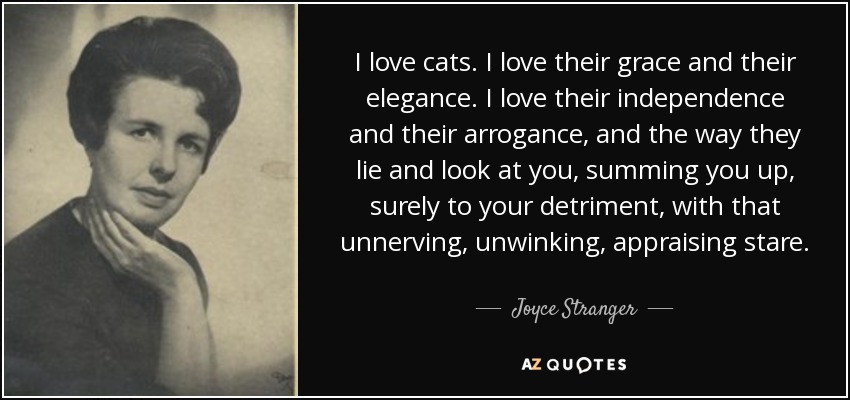 I love cats. I love their grace and their elegance. I love their independence and their arrogance, and the way they lie and look at you, summing you up, surely to your detriment, with that unnerving, unwinking, appraising stare. - Joyce Stranger