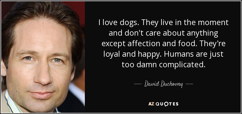 I love dogs. They live in the moment and don't care about anything except affection and food. They're loyal and happy. Humans are just too damn complicated. - David Duchovny