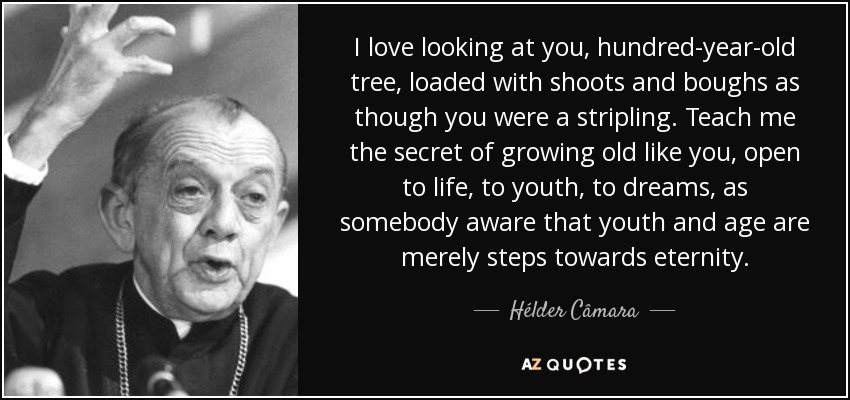 I love looking at you, hundred-year-old tree, loaded with shoots and boughs as though you were a stripling. Teach me the secret of growing old like you, open to life, to youth, to dreams, as somebody aware that youth and age are merely steps towards eternity. - Hélder Câmara