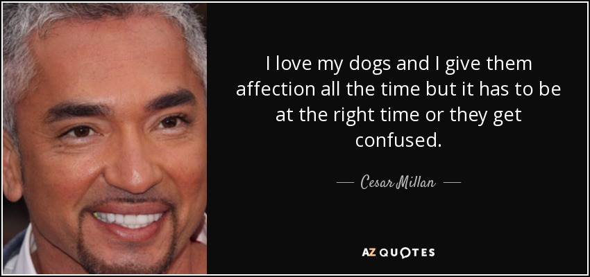 I love my dogs and I give them affection all the time but it has to be at the right time or they get confused. - Cesar Millan