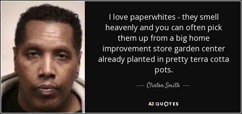 I love paperwhites - they smell heavenly and you can often pick them up from a big home improvement store garden center already planted in pretty terra cotta pots. - Clinton Smith