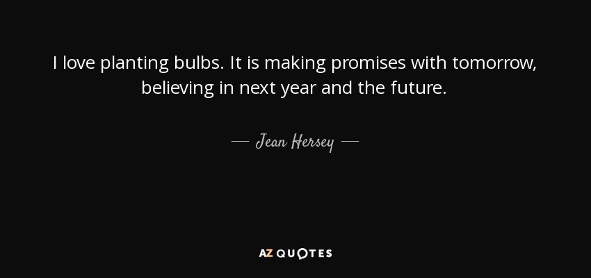I love planting bulbs. It is making promises with tomorrow, believing in next year and the future. - Jean Hersey