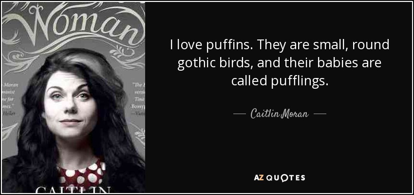 I love puffins. They are small, round gothic birds, and their babies are called pufflings. - Caitlin Moran