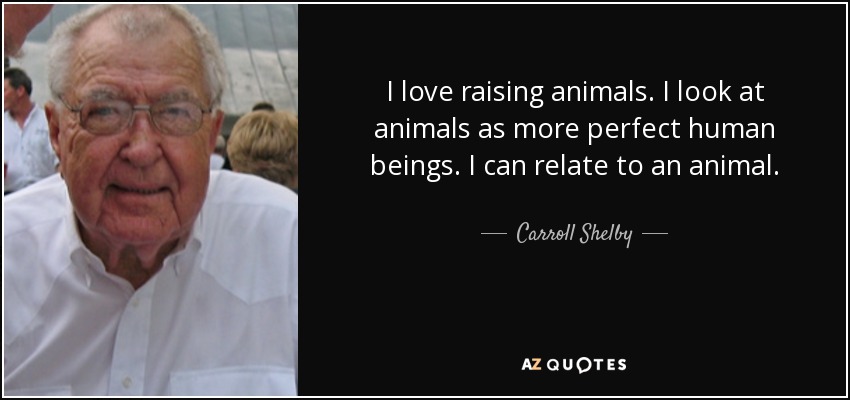 I love raising animals. I look at animals as more perfect human beings. I can relate to an animal. - Carroll Shelby