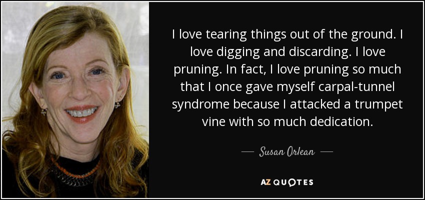 I love tearing things out of the ground. I love digging and discarding. I love pruning. In fact, I love pruning so much that I once gave myself carpal-tunnel syndrome because I attacked a trumpet vine with so much dedication. - Susan Orlean
