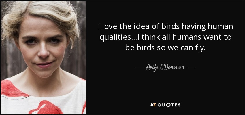 I love the idea of birds having human qualities...I think all humans want to be birds so we can fly. - Aoife O'Donovan