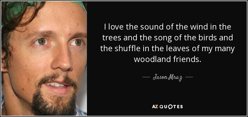 I love the sound of the wind in the trees and the song of the birds and the shuffle in the leaves of my many woodland friends. - Jason Mraz