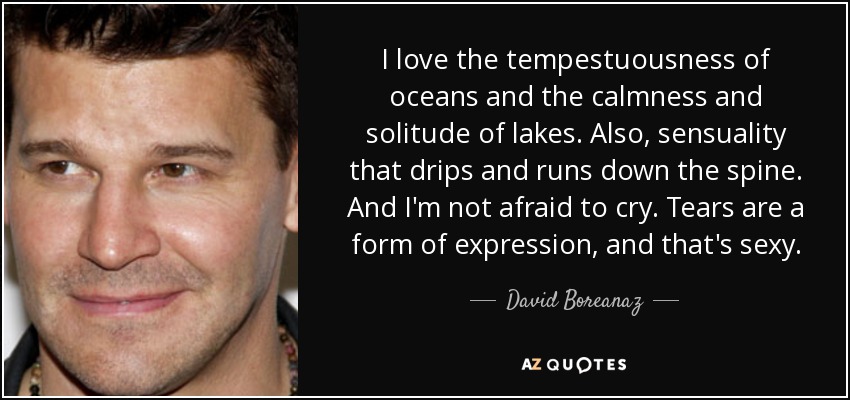 I love the tempestuousness of oceans and the calmness and solitude of lakes. Also, sensuality that drips and runs down the spine. And I'm not afraid to cry. Tears are a form of expression, and that's sexy. - David Boreanaz