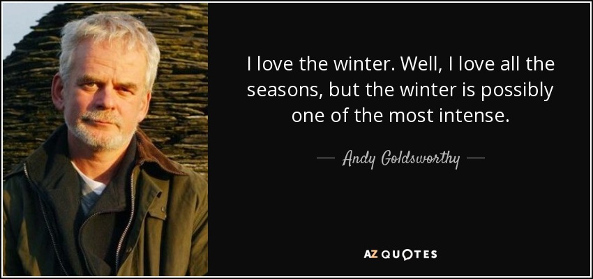 I love the winter. Well, I love all the seasons, but the winter is possibly one of the most intense. - Andy Goldsworthy