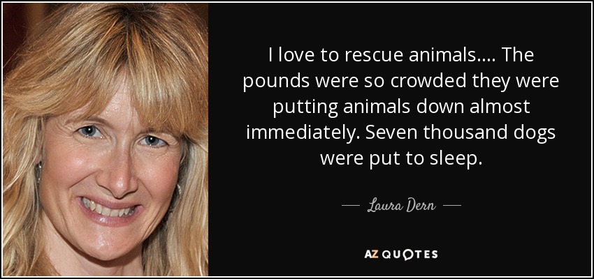 I love to rescue animals.... The pounds were so crowded they were putting animals down almost immediately. Seven thousand dogs were put to sleep. - Laura Dern