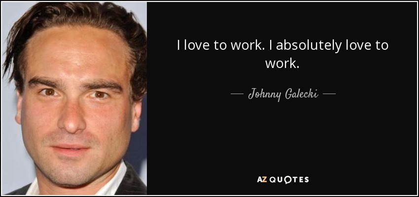 I love to work. I absolutely love to work. - Johnny Galecki