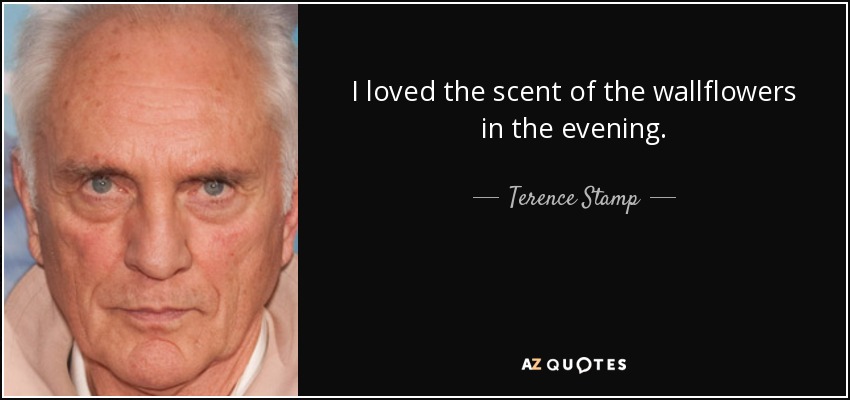 I loved the scent of the wallflowers in the evening. - Terence Stamp