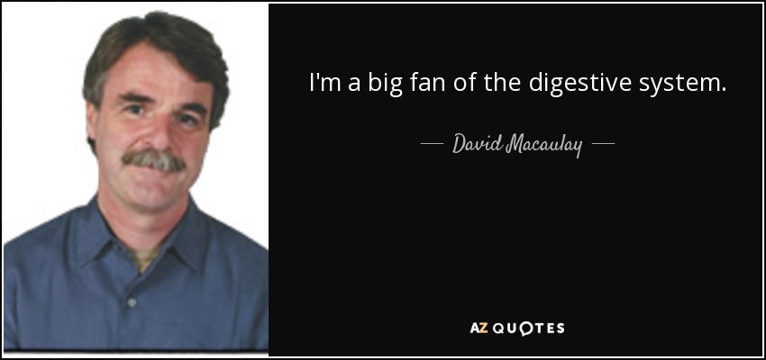 I'm a big fan of the digestive system. - David Macaulay
