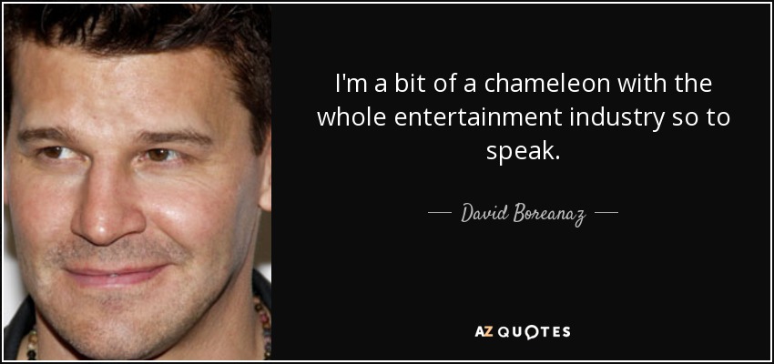 I'm a bit of a chameleon with the whole entertainment industry so to speak. - David Boreanaz