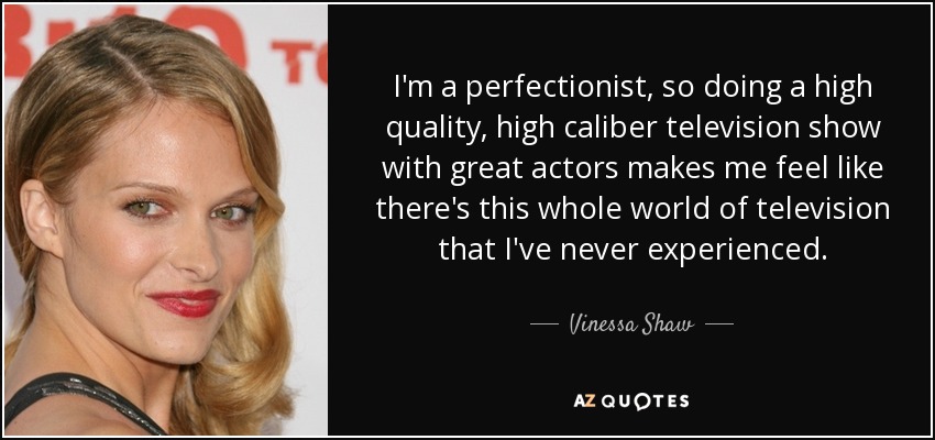 I'm a perfectionist, so doing a high quality, high caliber television show with great actors makes me feel like there's this whole world of television that I've never experienced. - Vinessa Shaw