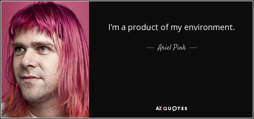 I'm a product of my environment. - Ariel Pink