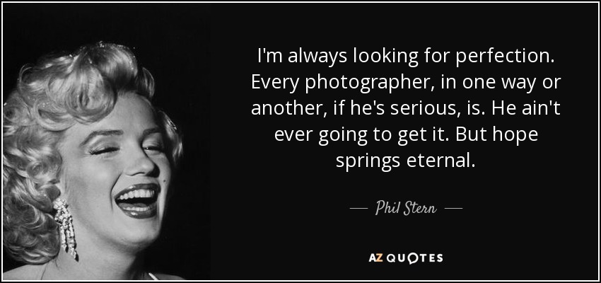 I'm always looking for perfection. Every photographer, in one way or another, if he's serious, is. He ain't ever going to get it. But hope springs eternal. - Phil Stern