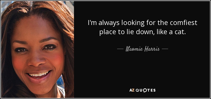 I'm always looking for the comfiest place to lie down, like a cat. - Naomie Harris