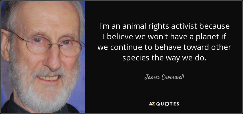 I'm an animal rights activist because I believe we won't have a planet if we continue to behave toward other species the way we do. - James Cromwell
