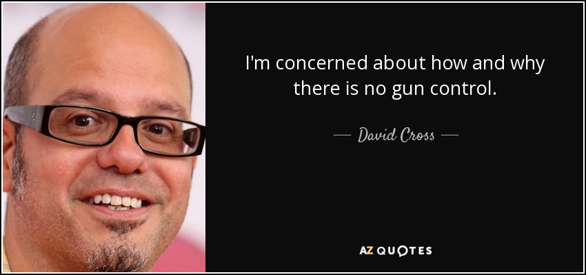 I'm concerned about how and why there is no gun control. - David Cross