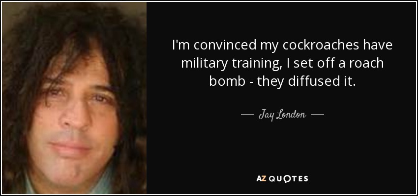 I'm convinced my cockroaches have military training, I set off a roach bomb - they diffused it. - Jay London