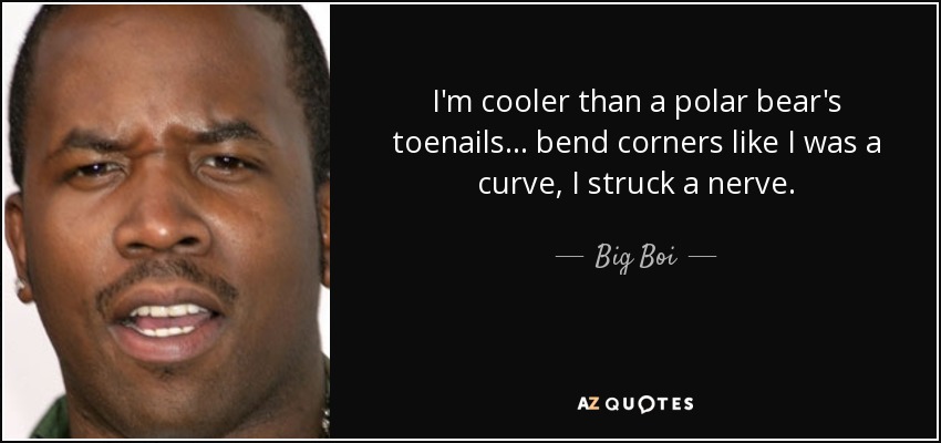 I'm cooler than a polar bear's toenails... bend corners like I was a curve, I struck a nerve. - Big Boi