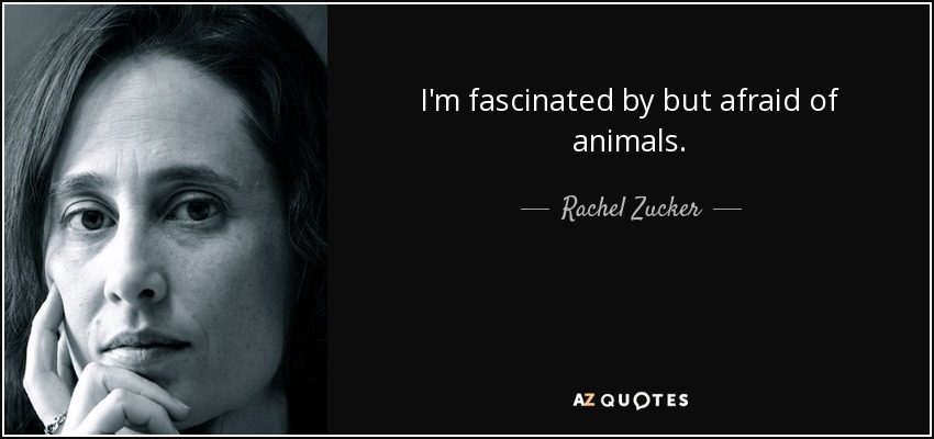 I'm fascinated by but afraid of animals. - Rachel Zucker