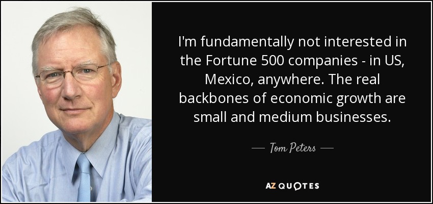 I'm fundamentally not interested in the Fortune 500 companies - in US, Mexico, anywhere. The real backbones of economic growth are small and medium businesses. - Tom Peters