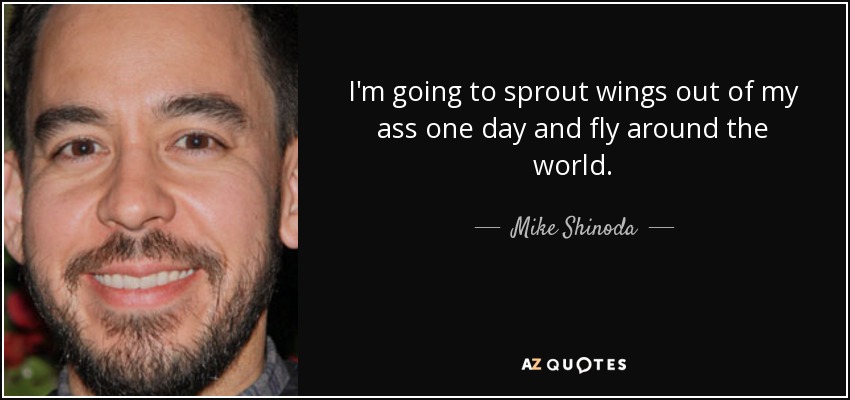 I'm going to sprout wings out of my ass one day and fly around the world. - Mike Shinoda