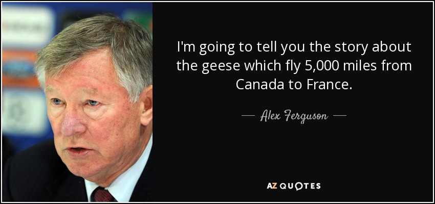 I'm going to tell you the story about the geese which fly 5,000 miles from Canada to France. - Alex Ferguson
