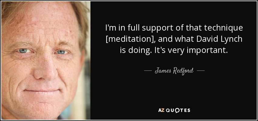 I'm in full support of that technique [meditation] , and what David Lynch is doing. It's very important. - James Redford