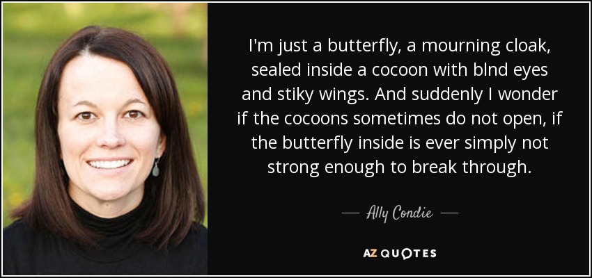 I'm just a butterfly, a mourning cloak, sealed inside a cocoon with blnd eyes and stiky wings. And suddenly I wonder if the cocoons sometimes do not open, if the butterfly inside is ever simply not strong enough to break through. - Ally Condie