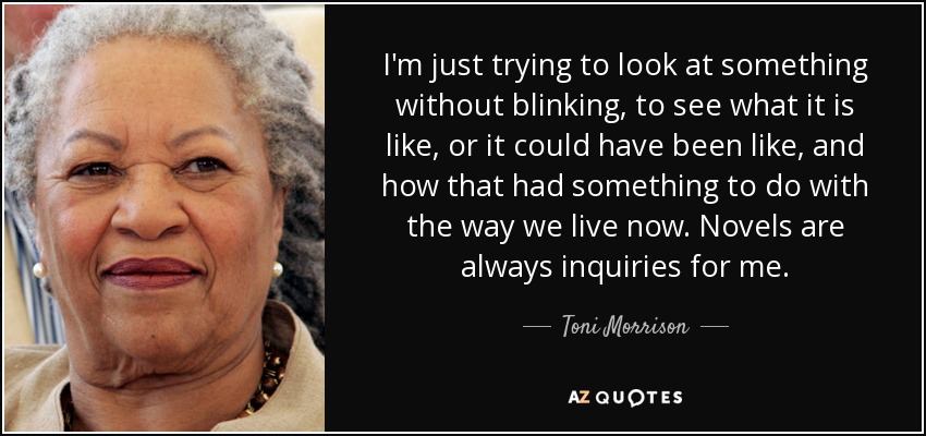 I'm just trying to look at something without blinking, to see what it is like, or it could have been like, and how that had something to do with the way we live now. Novels are always inquiries for me. - Toni Morrison