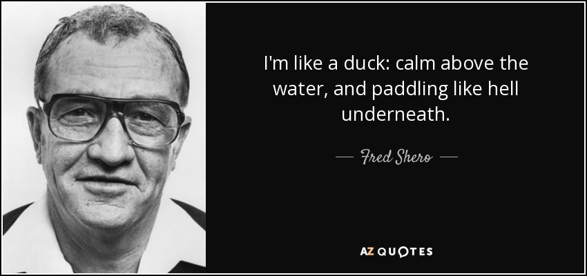 I'm like a duck: calm above the water, and paddling like hell underneath. - Fred Shero