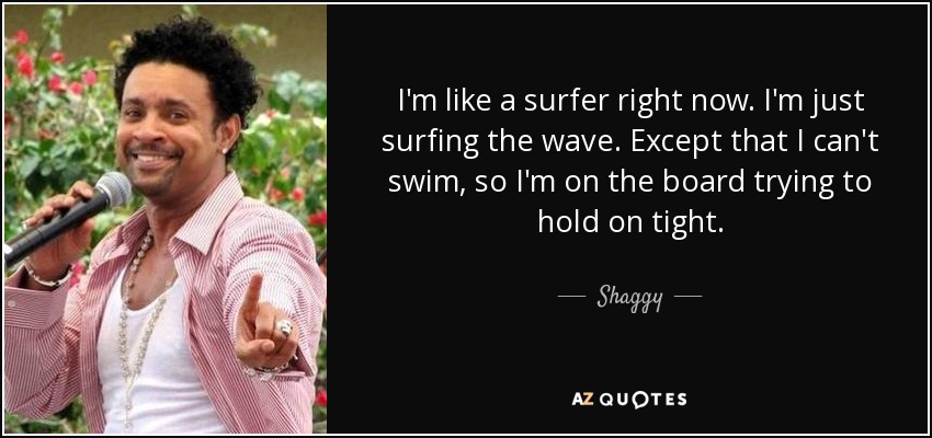I'm like a surfer right now. I'm just surfing the wave. Except that I can't swim, so I'm on the board trying to hold on tight. - Shaggy