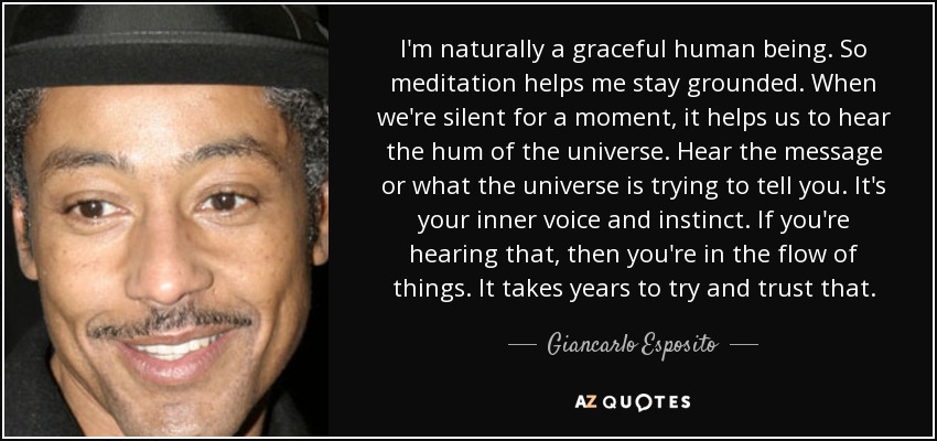 I'm naturally a graceful human being. So meditation helps me stay grounded. When we're silent for a moment, it helps us to hear the hum of the universe. Hear the message or what the universe is trying to tell you. It's your inner voice and instinct. If you're hearing that, then you're in the flow of things. It takes years to try and trust that. - Giancarlo Esposito