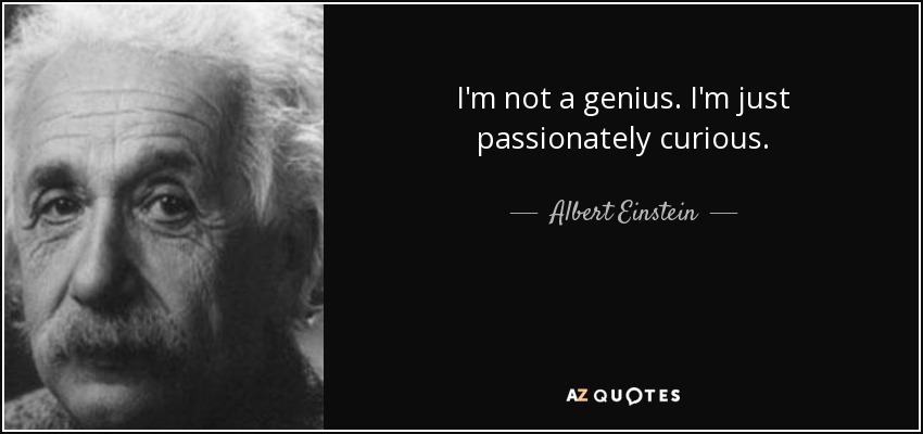I'm not a genius. I'm just passionately curious. - Albert Einstein