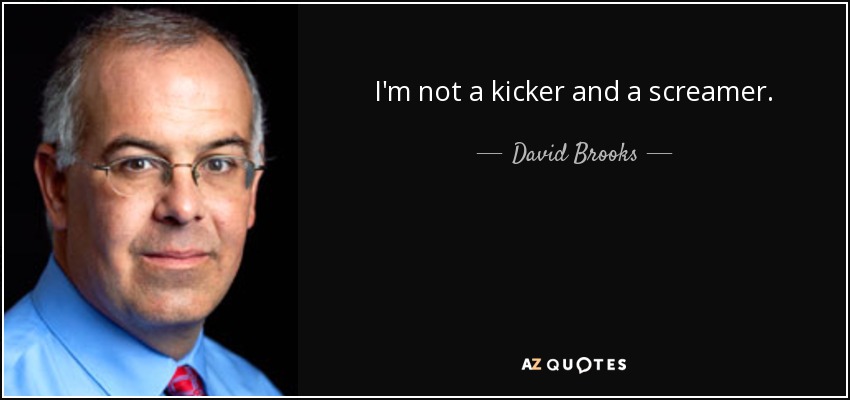 I'm not a kicker and a screamer. - David Brooks