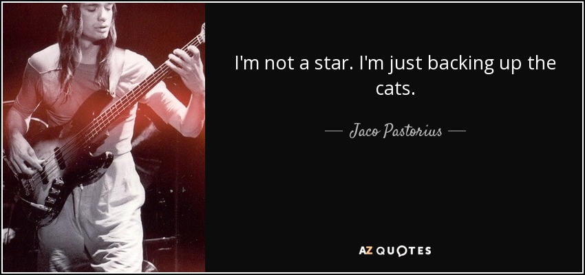 I'm not a star. I'm just backing up the cats. - Jaco Pastorius