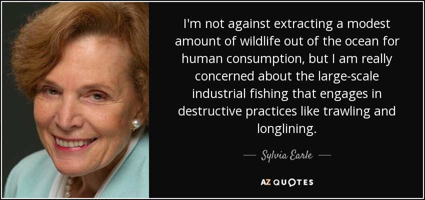 I'm not against extracting a modest amount of wildlife out of the ocean for human consumption, but I am really concerned about the large-scale industrial fishing that engages in destructive practices like trawling and longlining. - Sylvia Earle