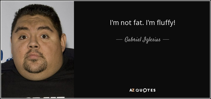 I'm not fat. I'm fluffy! - Gabriel Iglesias