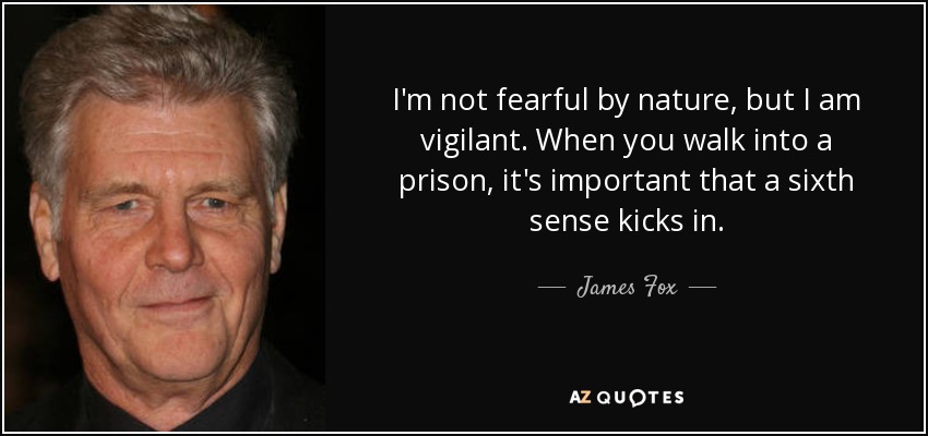 I'm not fearful by nature, but I am vigilant. When you walk into a prison, it's important that a sixth sense kicks in. - James Fox