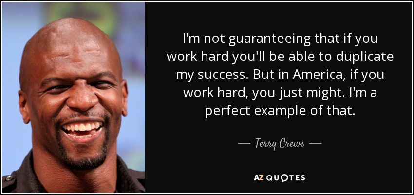I'm not guaranteeing that if you work hard you'll be able to duplicate my success. But in America, if you work hard, you just might. I'm a perfect example of that. - Terry Crews