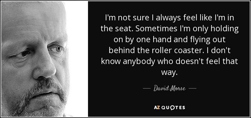 I'm not sure I always feel like I'm in the seat. Sometimes I'm only holding on by one hand and flying out behind the roller coaster. I don't know anybody who doesn't feel that way. - David Morse