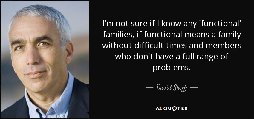 I'm not sure if I know any 'functional' families, if functional means a family without difficult times and members who don't have a full range of problems. - David Sheff