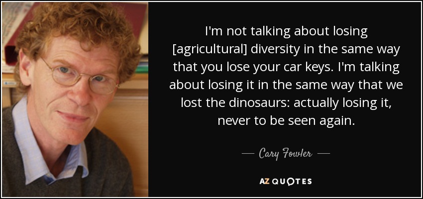 I'm not talking about losing [agricultural] diversity in the same way that you lose your car keys. I'm talking about losing it in the same way that we lost the dinosaurs: actually losing it, never to be seen again. - Cary Fowler