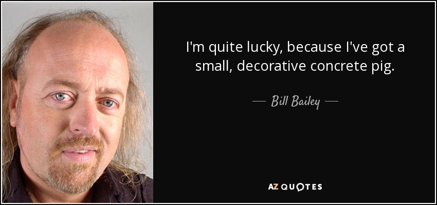 I'm quite lucky, because I've got a small, decorative concrete pig. - Bill Bailey