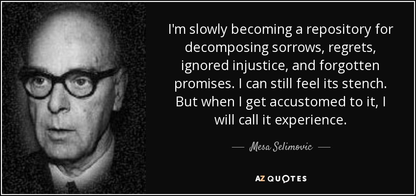 I'm slowly becoming a repository for decomposing sorrows, regrets, ignored injustice, and forgotten promises. I can still feel its stench. But when I get accustomed to it, I will call it experience. - Mesa Selimovic